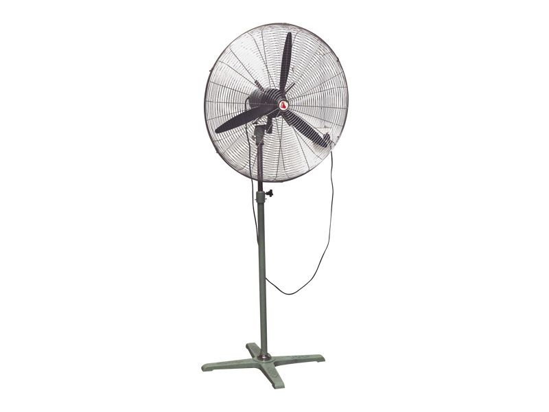 Pedestal Fan